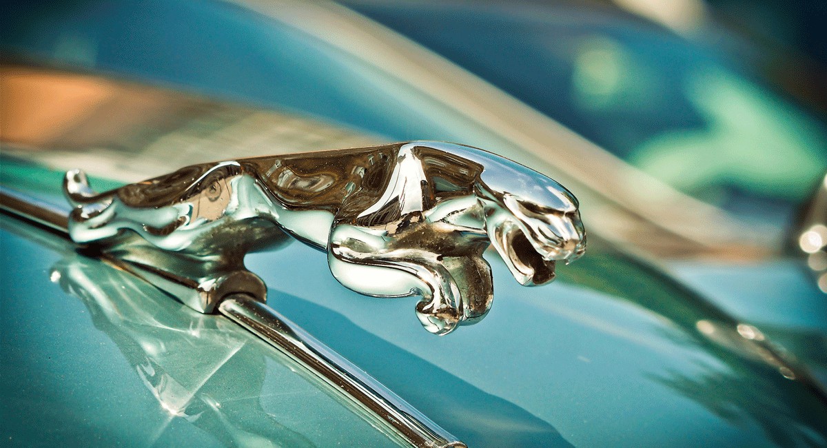 How to conduct plasma pretreatment (cleaning and activation) for car exterior trim
