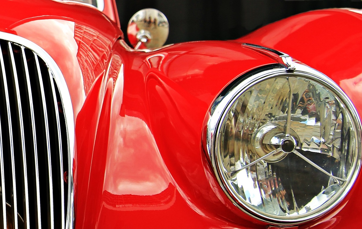 jaguar-gdabe823ae_1920.jpg