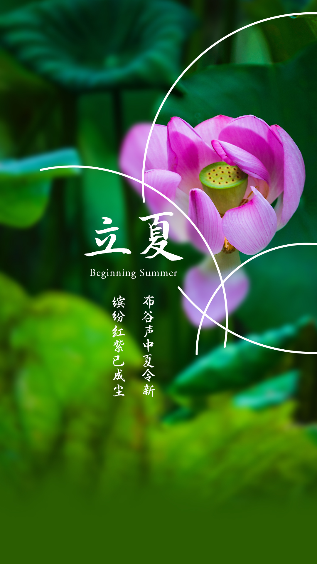 立夏 | 沖破往日的陰霾，懷著對美好生活的向往，努力奔跑